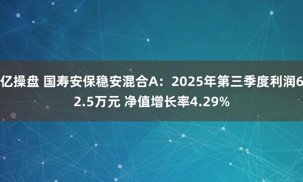 亿操盘 国寿安保稳安混合A：2025年第三季度利润62.5万元 净值增长率4.29%