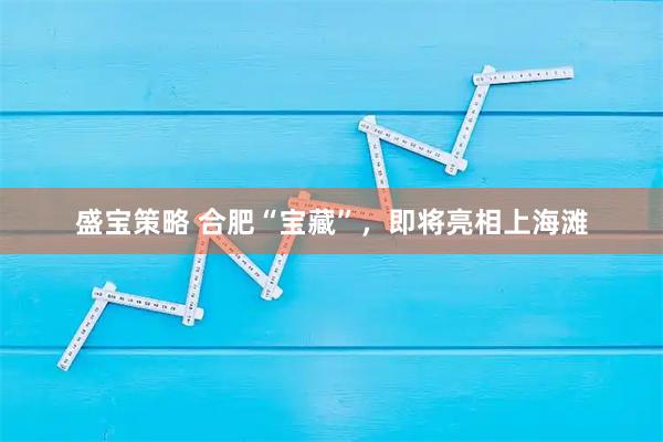 盛宝策略 合肥“宝藏”，即将亮相上海滩