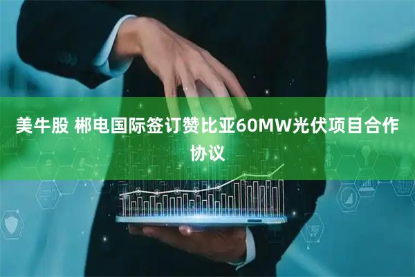 美牛股 郴电国际签订赞比亚60MW光伏项目合作协议